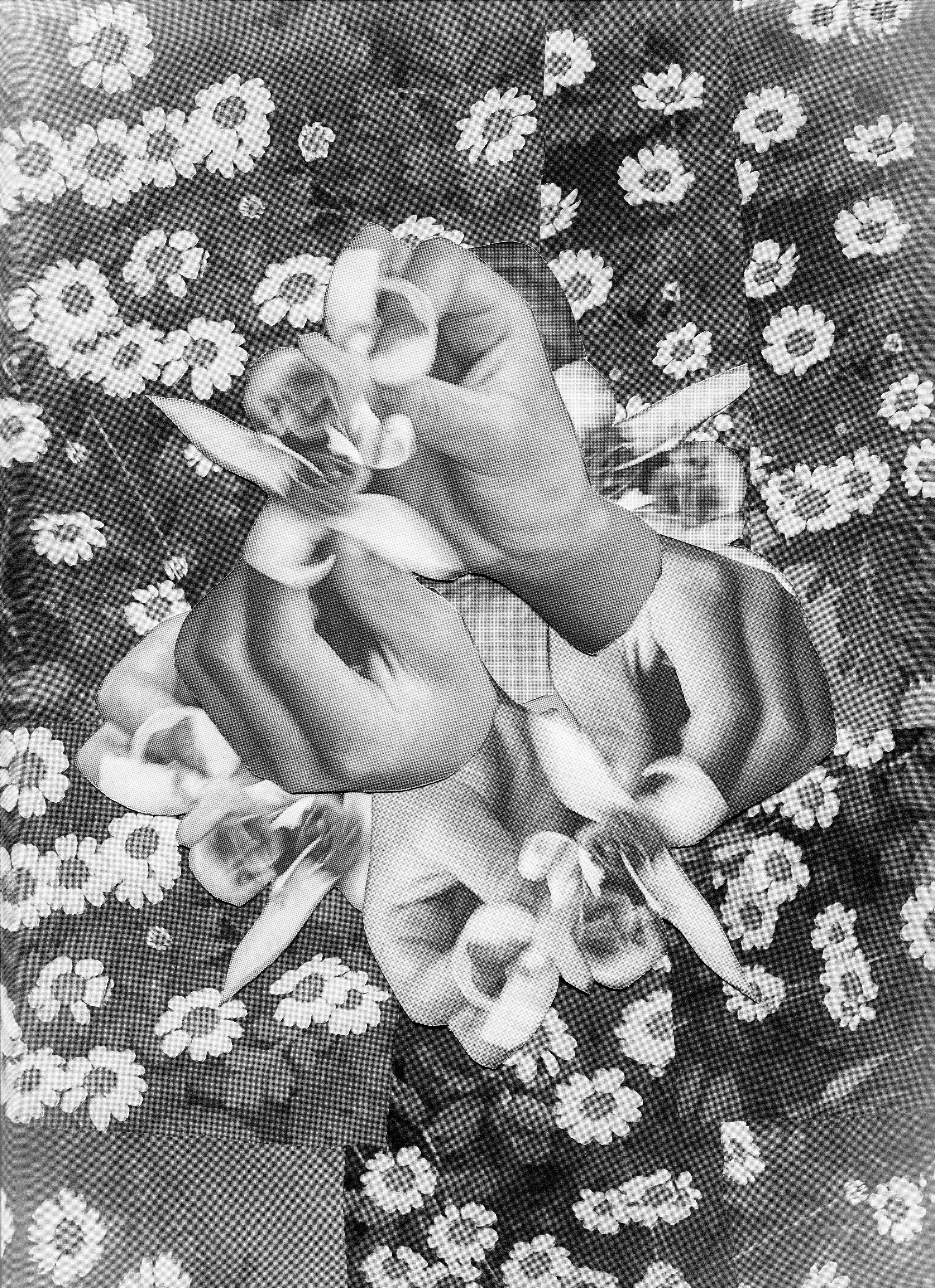 Image by Sally Barton with The Albany, Deptfrod.