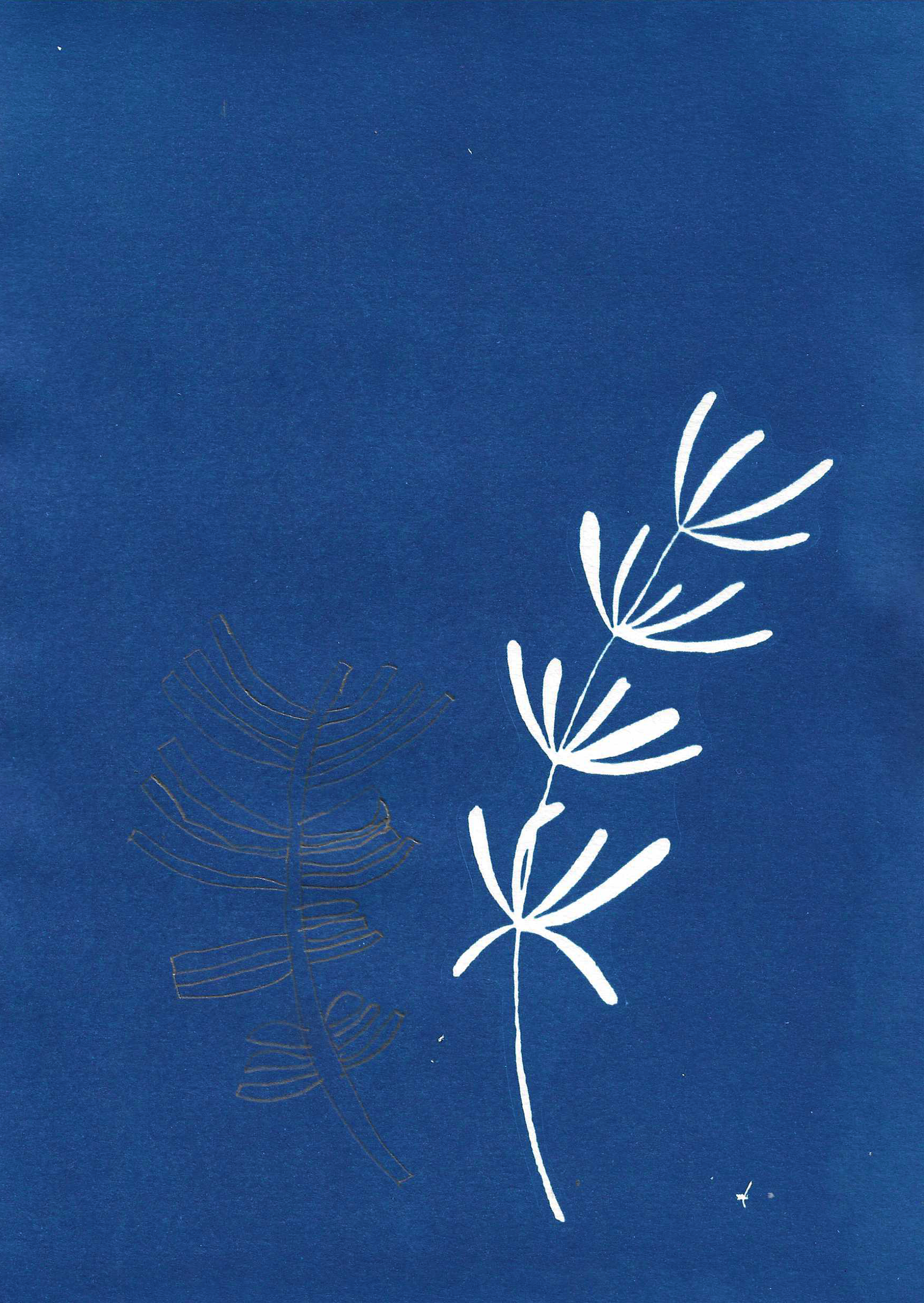 Image by Audrey Albert with Bredbury Library, Stockport.