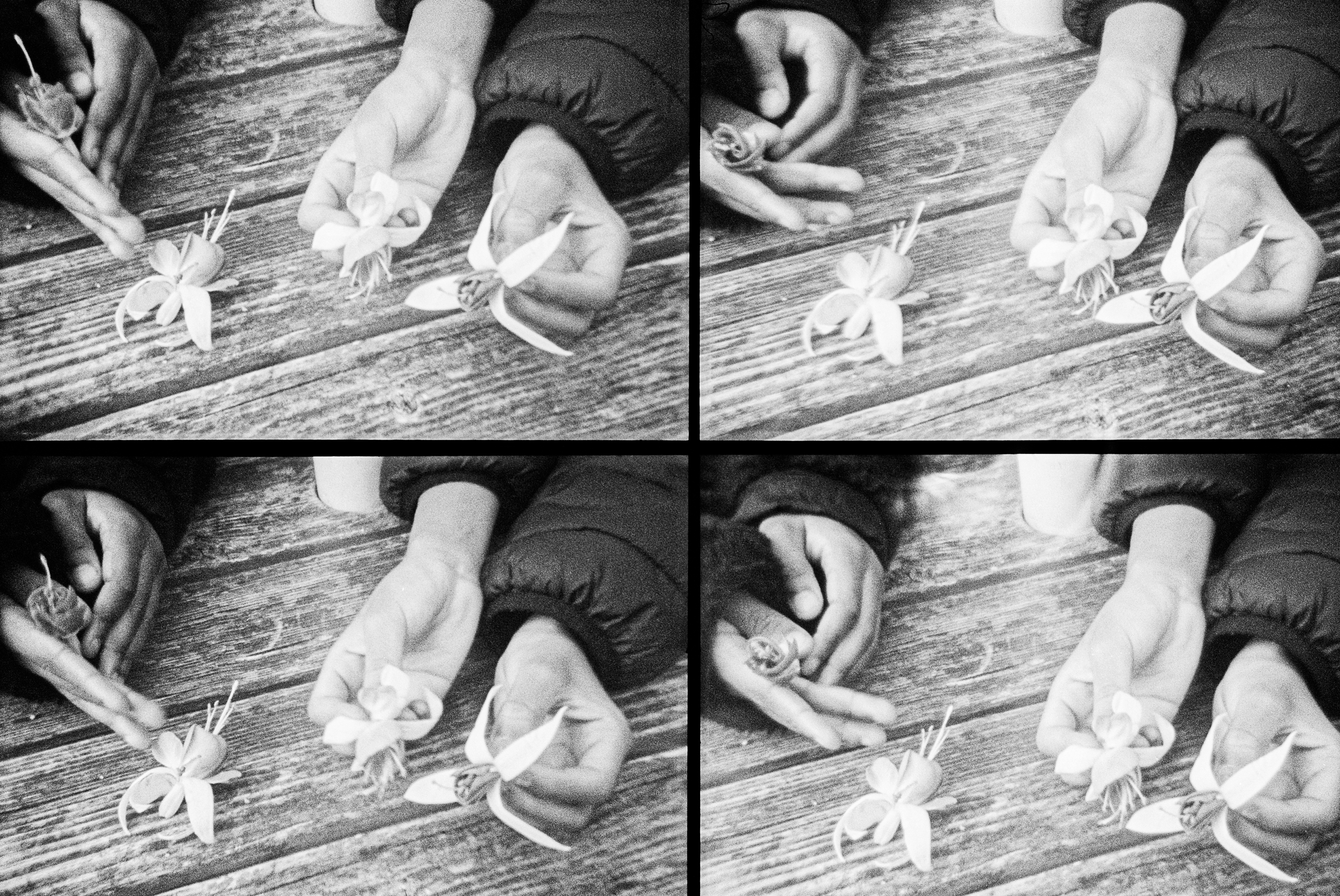 Image by Sally Barton with The Albany, Deptfrod.