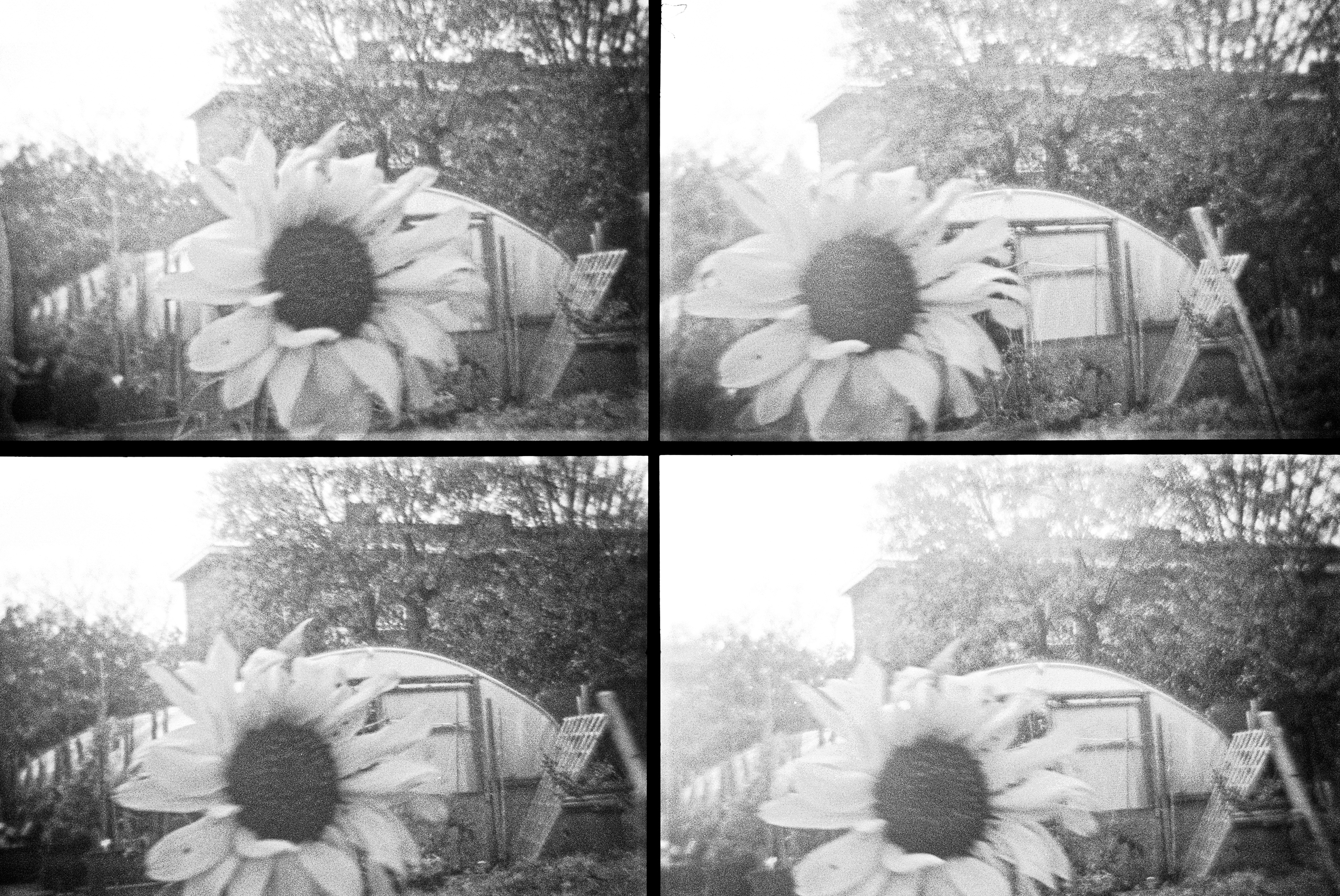 Image by Sally Barton with The Albany, Deptfrod.