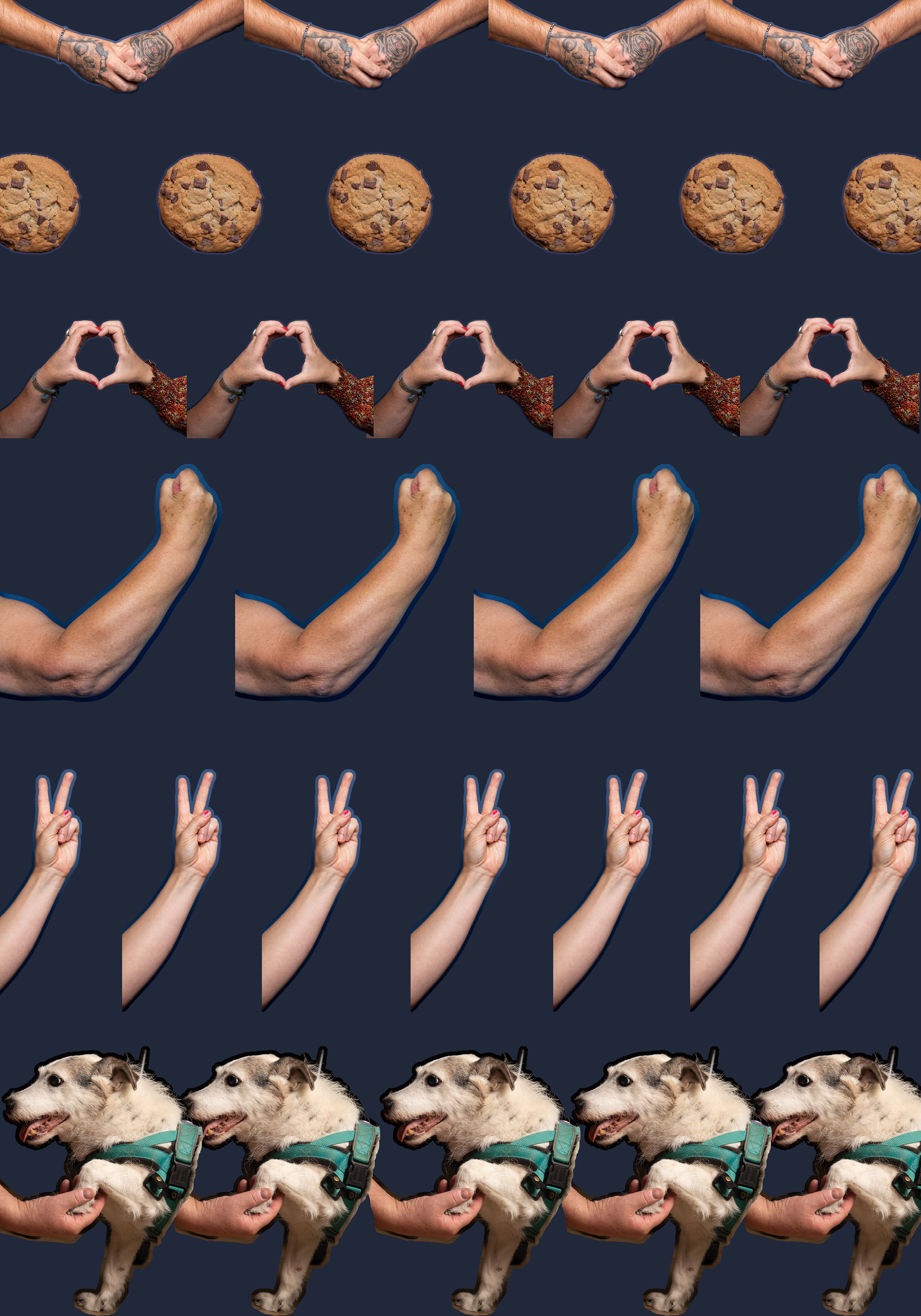 Image by Karina Lax with Barnsley Civic.